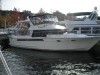 Ocean Alexander 44